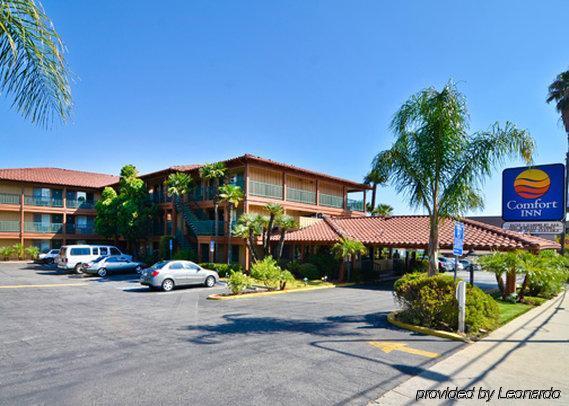 818 + Pool, Ascend Collection By Choice 3* Los Ángeles
